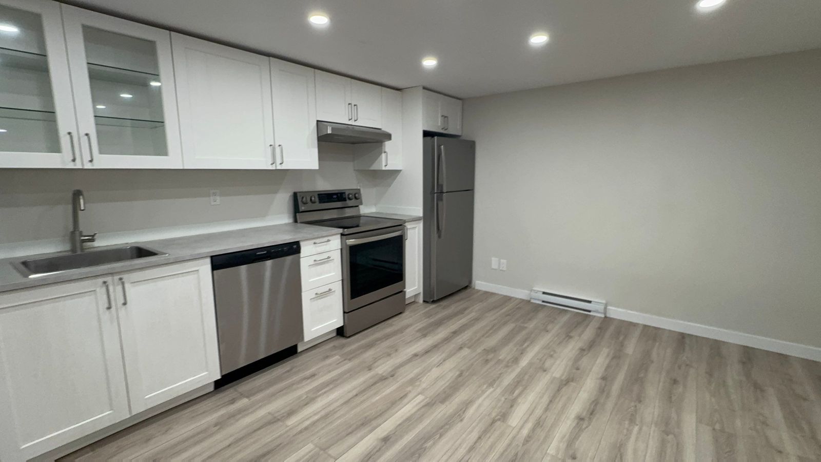 Basement kitchen