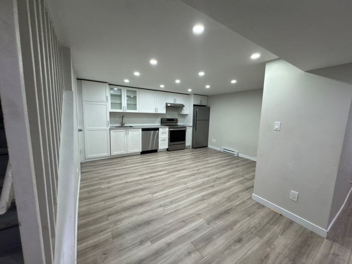 Basement suite - open plan