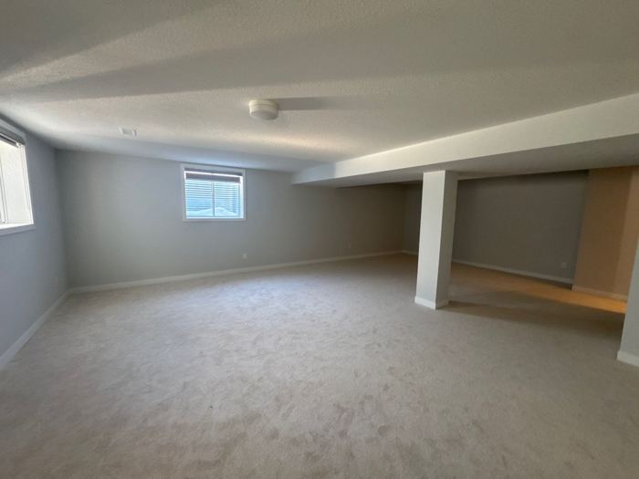 Finished basement - rec room